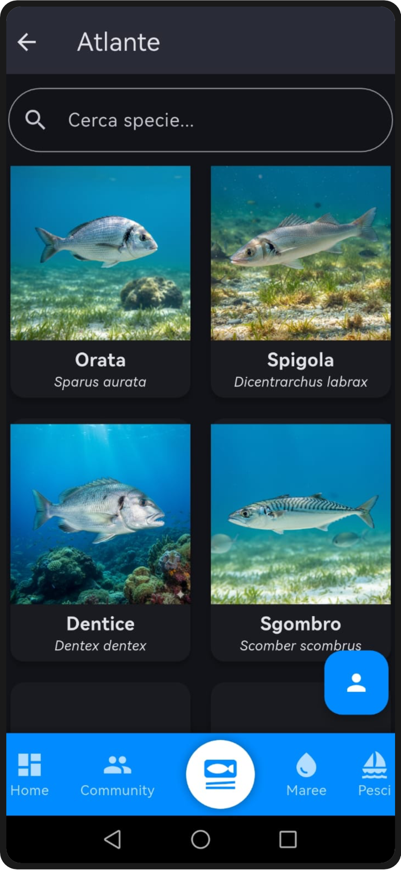 Schermata 3